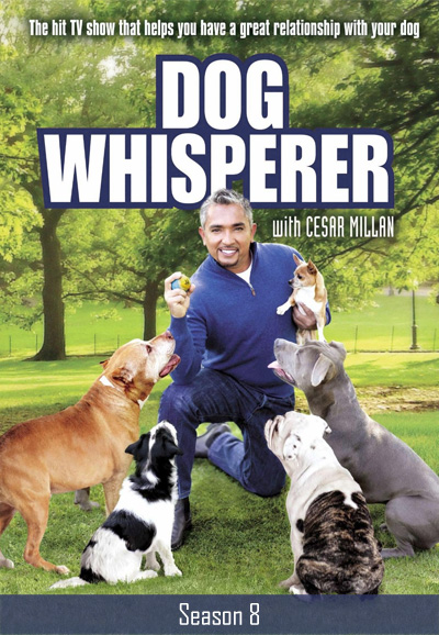 Dog Whisperer - Season 8 [81938] (A1772186669) [[Shows 2.0]] --Plex--